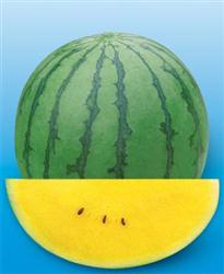 新金兰